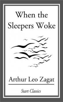     When the Sleepers Woke