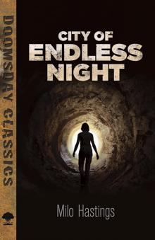      City of Endless Night