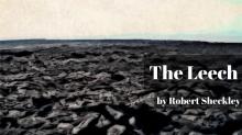      The Leech