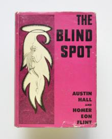      The Blind Spot