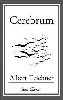      Cerebrum