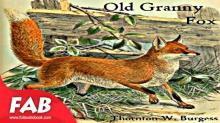      Old Granny Fox