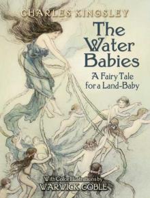      The Water-Babies: A Fairy Tale for a Land-Baby