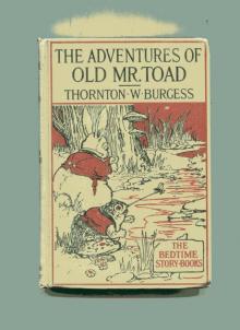      The Adventures of Old Mr. Toad