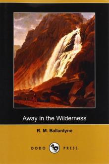      Away in the Wilderness