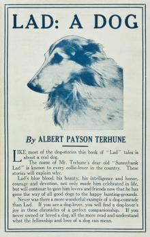      Lad: A Dog