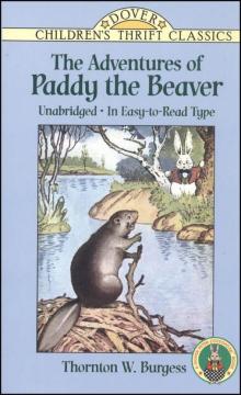      The Adventures of Paddy Beaver