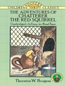      The Adventures of Chatterer the Red Squirrel