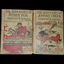      The Adventures of Johnny Chuck