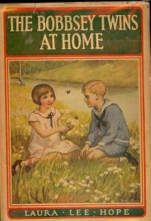      The Bobbsey Twins at Home
