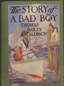      The Story of a Bad Boy