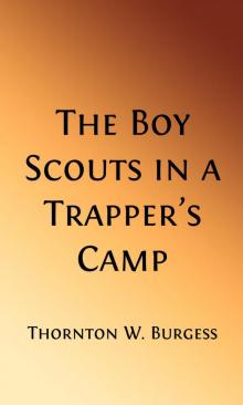      The Boy Scouts in A Trapper's Camp