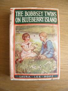      The Bobbsey Twins on Blueberry Island