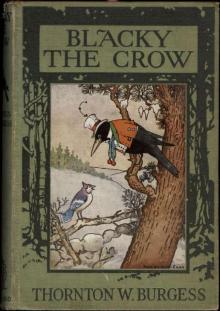      Blacky the Crow