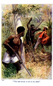      The Gorilla Hunters
