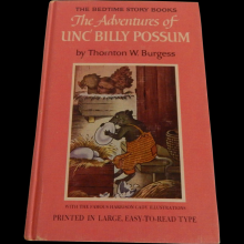      The Adventures of Unc' Billy Possum