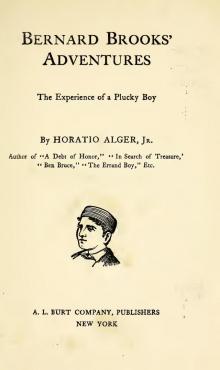      Bernard Brooks' Adventures: The Experience of a Plucky Boy