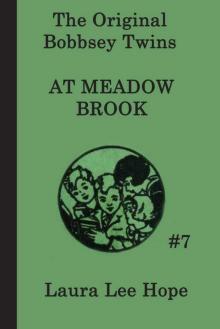      The Bobbsey Twins at Meadow Brook