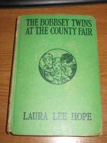      The Bobbsey Twins at the County Fair