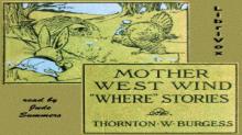      Mother West Wind Where Stories