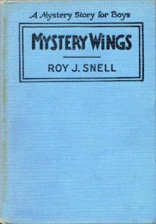      Mystery Wings