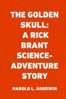      The Golden Skull: A Rick Brant Science-Adventure Story