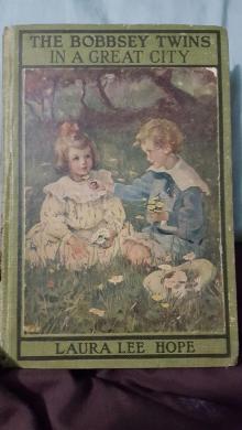      The Bobbsey Twins in a Great City