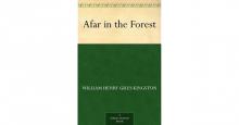      Afar in the Forest