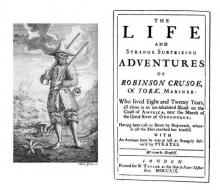      An American Robinson Crusoe