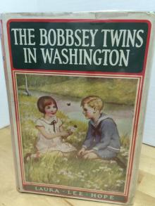      The Bobbsey Twins in Washington
