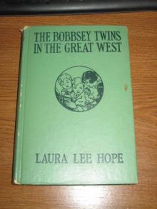      The Bobbsey Twins in the Great West