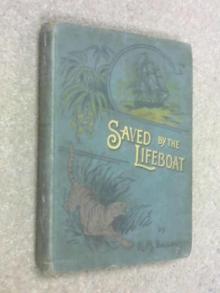      The Lifeboat