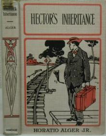      Hector's Inheritance, Or, the Boys of Smith Institute