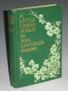      A Little Union Scout
