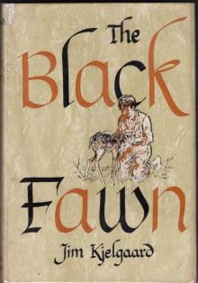      The Black Fawn