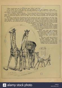     P. T. Barnum's Menagerie
