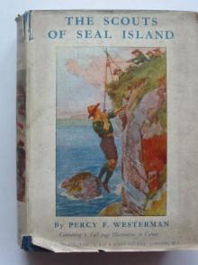      The Scouts of Seal Island