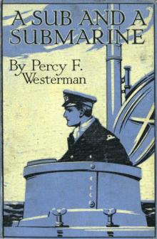      A Sub and a Submarine: The Story of H.M. Submarine R19 in the Great War
