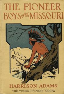      The Pioneer Boys of the Mississippi; or, The Homestead in the Wilderness