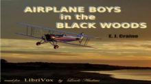      Airplane Boys in the Black Woods