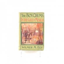      The Boy Chums in the Gulf of Mexico