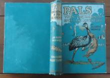      Pals: Young Australians in Sport and Adventure