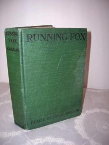      Running Fox