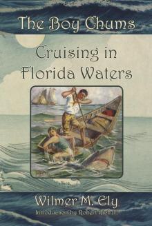      The Boy Chums Cruising in Florida Waters