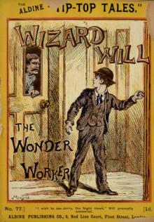      Wizard Will, the Wonder Worker