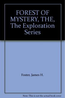      The Forest of Mystery