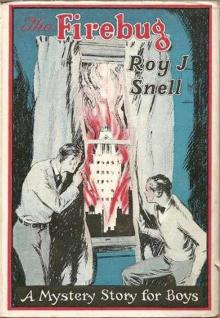      The Firebug