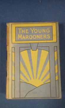      The Young Marooners on the Florida Coast