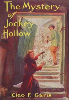      The Mystery of Jockey Hollow