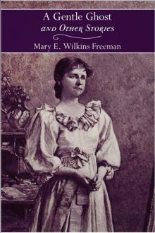      Aunt 'Liza's Hero, and Other Stories